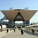 bigsight_s.jpg